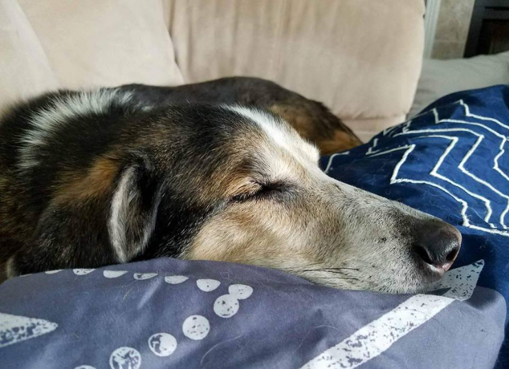 internal-medicine-img-1