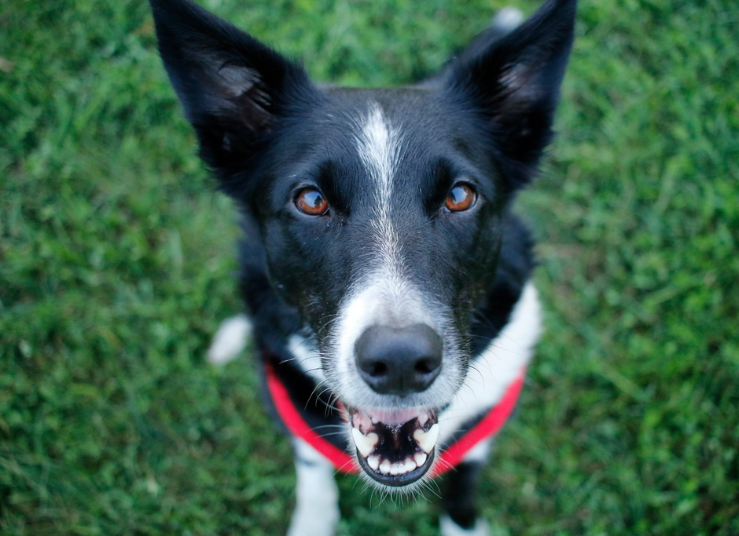 internal-medicine-img-2