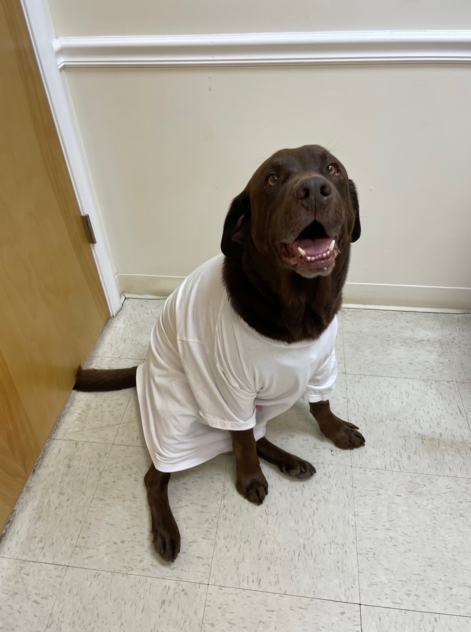 605328073_1698084854914589_2877187912084121753_n